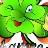Shamrock Nourriture