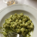 Bocciofila Nourriture