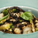 Oca Ceca Essen