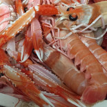 Dioniso Fish Comida