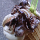 Gola Dolce Comida