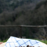 Villa Lena Nourriture