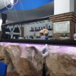 Villa Nesea Comida
