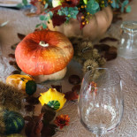 Agrisalotto Comida