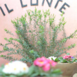 Il Conte Nourriture