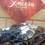 Scacciapensieri Nourriture