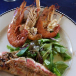 Sirenella Comida
