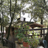 Il Pettirosso Exterior