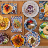 Avocuddle Cafe Cibo
