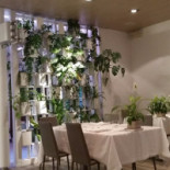 Bazabo Cibo Comida