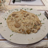 Mino Dentro