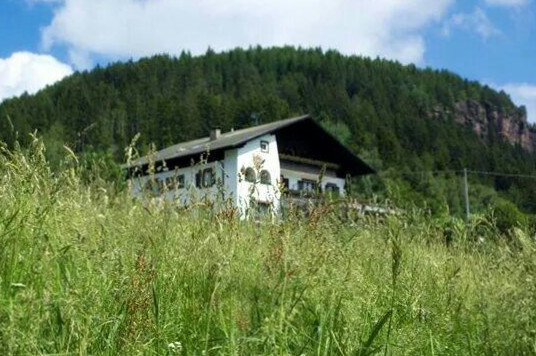 Alpenrose Dentro