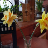 Restaurace Radnice