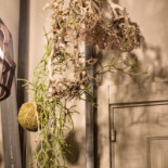 La Capinera Extérieur