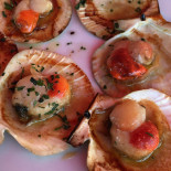 Antico Toro Nourriture