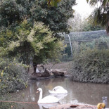 Villa Serena Nourriture