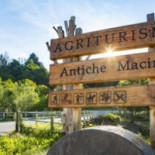Agriturismo Antiche Macine food