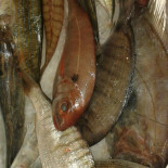 Osteria Le Terme Comida
