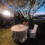 Villa Loreto Nourriture