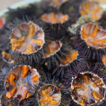 Alimentari Tabacchi Da Carlo Nourriture