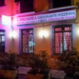 Pizzeria L'orchidea