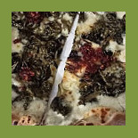 Pizzeria Del Viale Pizzeria Da Asporto food