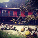 Agriturismo San Michele food