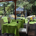 Green Fantasy Dentro
