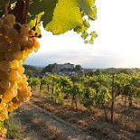 Cascina Degli Ulivi Comida