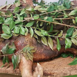 La Pintadera Solanas Comida