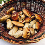 Bazzini Comida