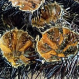 Pizzeria Il Covo Nourriture