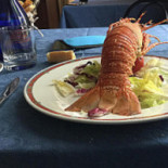 Polipazzo