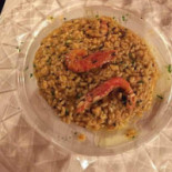 Zuccafish food