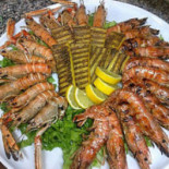 Dai Spigoi Nourriture