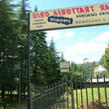 Trattoria Orio Nourriture