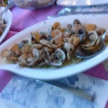 Il Cicas Nourriture