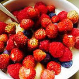 Cremafiore Comida