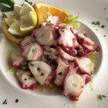 Seashell Comida