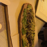 Micro Nourriture