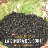 La Dimora Del Conte Nourriture