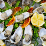 Il Pettirosso Nourriture