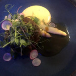 Gallery 44 Cibo