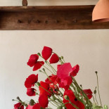 Osteria Da Oreste Nourriture