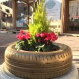 Shabby Café Pizzeria Nourriture