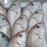 Fish House Comida
