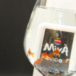 Miva' Cafe' Nourriture