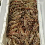 La Muccigna Comida