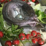 Trattoria Pp2 Comida
