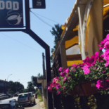 Hollywood Comida